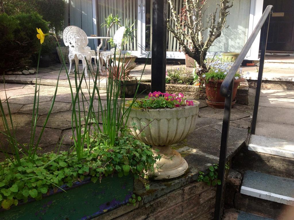 Braeside Guesthouse Exeter Ngoại thất bức ảnh